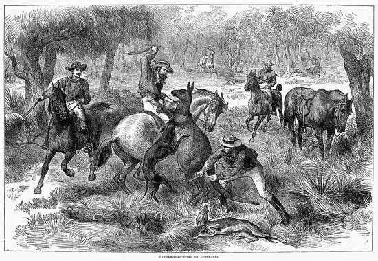 出差要关注的东西,国外黑暗料理