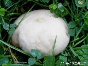 咽部红肿充血用什么清热解毒,病毒性咽喉肿痛一招解决