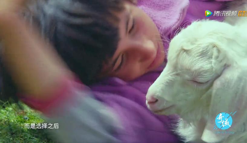 奇域探秘新丝路纪录片哪里可看,奇域探秘新丝路