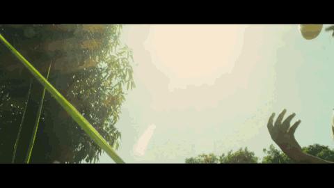 贝利乌鸦嘴,球王贝利是乌鸦嘴吗