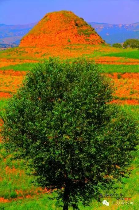 古镇乡情摄影作品欣赏,最美绿色山河风景摄影作品