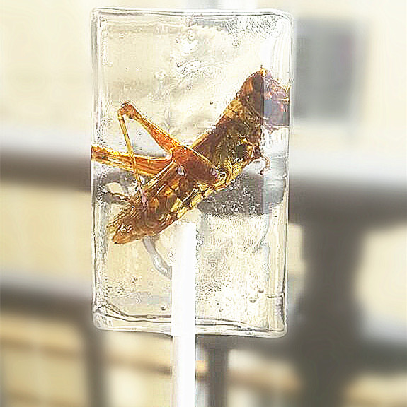 某宝上的那些奇葩商品,某宝买到恶劣产品怎么办