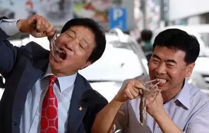 出差要关注的东西,国外黑暗料理