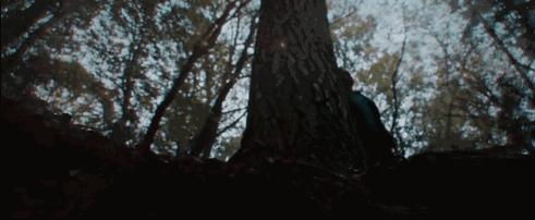 我丝毫不怀疑，这位导演曾来过云南尝过“毒蘑菇”