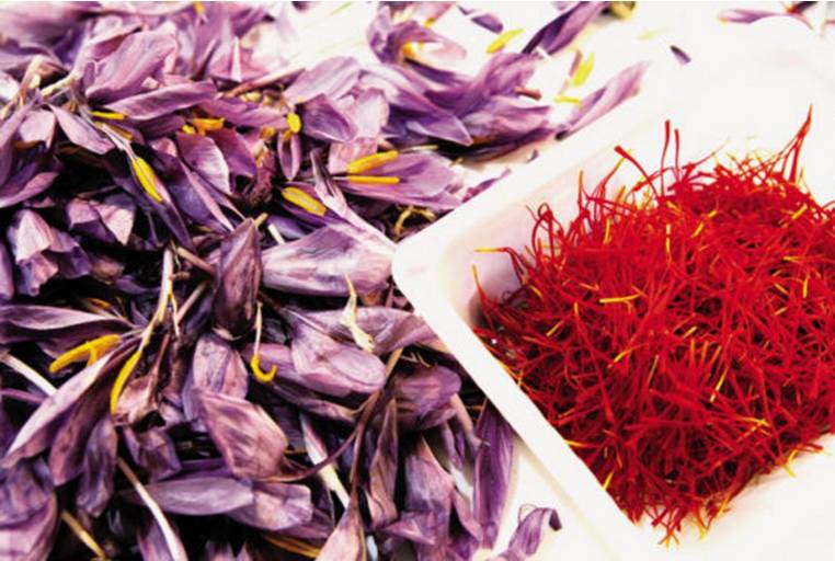 旅行买的零食,去旅游买过最坑的手信