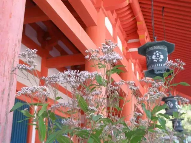 睡香枕有什么好处,睡觉睡得很香是好事吗