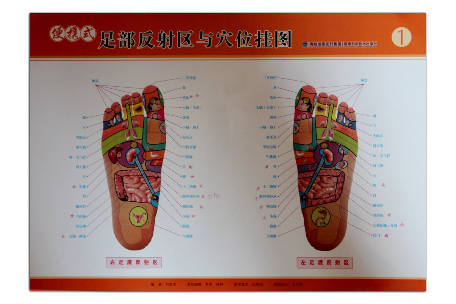 推拿好帮手，便携式足部穴位图