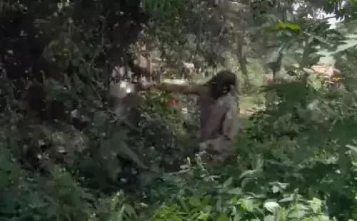 出差要关注的东西,国外黑暗料理