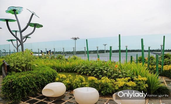 新加坡春节必吃十种美食,去新加坡必吃的十种美食