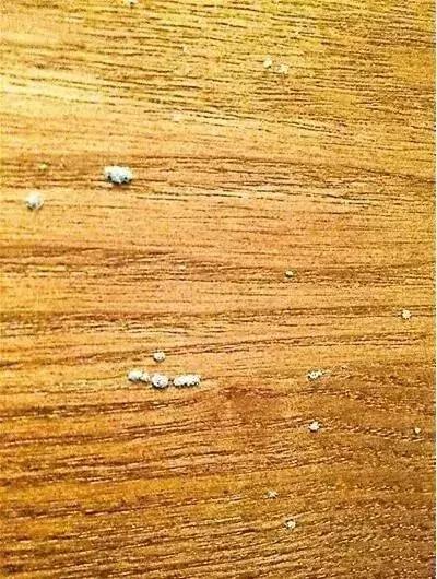 木头家具上有油漆怎么办,木头在做家具刷漆之前如何驱虫