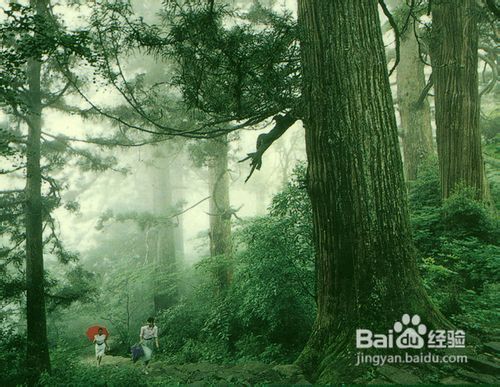 在野外没有绳子怎么做鱼竿,在没有绳子的情况下怎么制作绳索