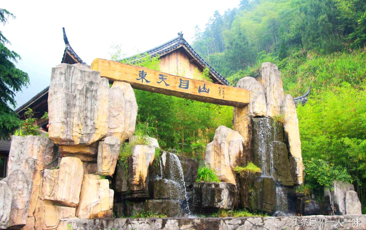 漫游天目山,探幽天目山森林之旅