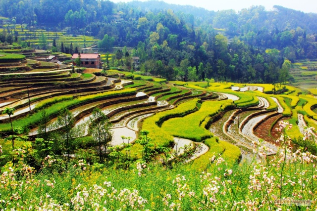 钃濋泚,钃濋泚浣滃搧