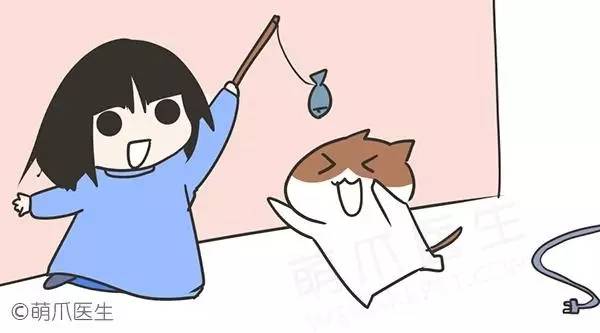 怎么防止猫咬细的电线,怎样从猫上接出网线