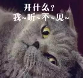 天津今天有哪些新闻,天津市今天的消息是什么