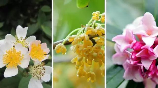 睡香枕有什么好处,睡觉睡得很香是好事吗