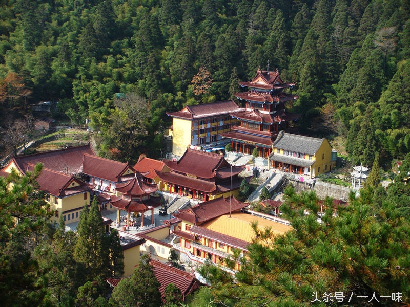 漫游天目山,探幽天目山森林之旅