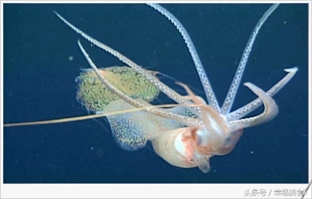 开海后去海边看的第一波海鲜,开海季鲅鱼带鱼