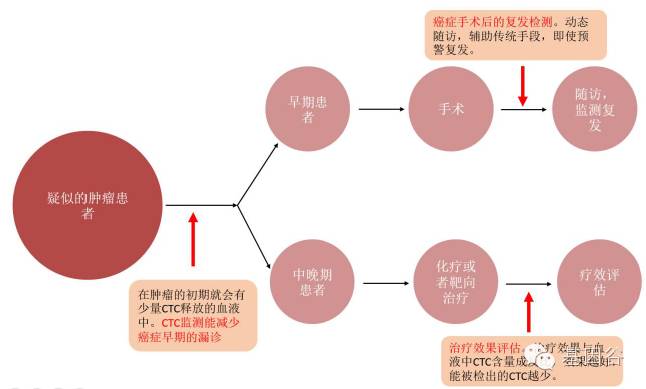 循环肿瘤细胞ctc检测技术,液体活检ctc多少费用