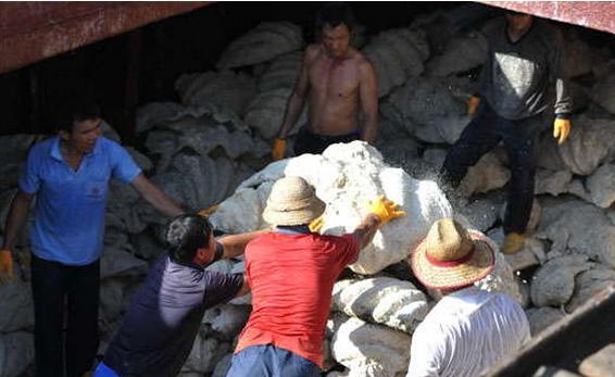 文玩催生的这几个高危职业，以命换钱令人心酸!