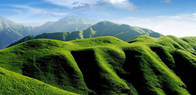 钃濋泚,钃濋泚浣滃搧