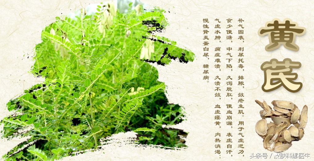 补气升阳的药有啥用,三味中药降血压降脂降糖