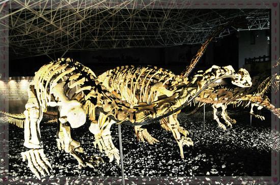 云南景区门票名单,云南大理景区免门票