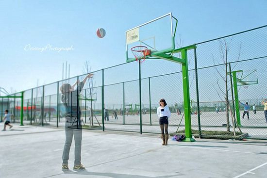 人笑花开，花落人哭，一个见，一个留心