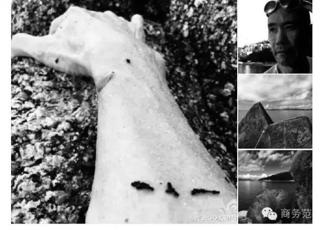 为什么越成功的老板越努力,真正成功的企业家需要几种智慧