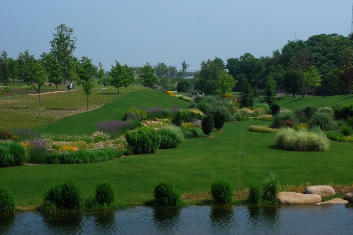 辰山植物园旱溪花境,上海辰山植物园珍稀植物
