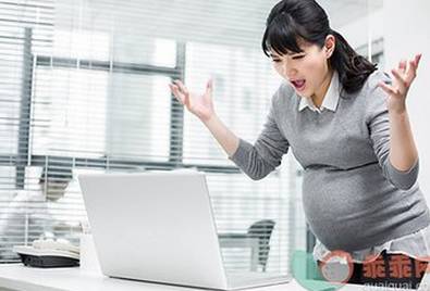 孕期降火的茶,十大适合孕妇喝的下火茶