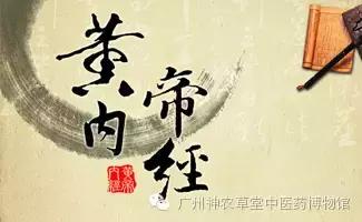 中医不懂解剖学,中医经络穴位解剖学