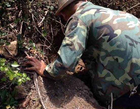 文玩催生的这几个高危职业，以命换钱令人心酸!
