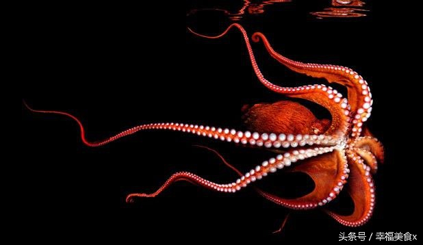 开海后去海边看的第一波海鲜,开海季鲅鱼带鱼