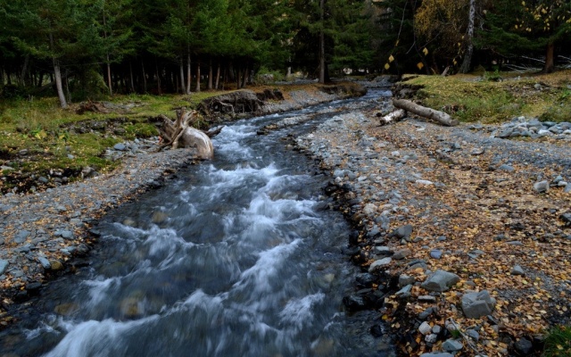 钃濋泚,钃濋泚浣滃搧