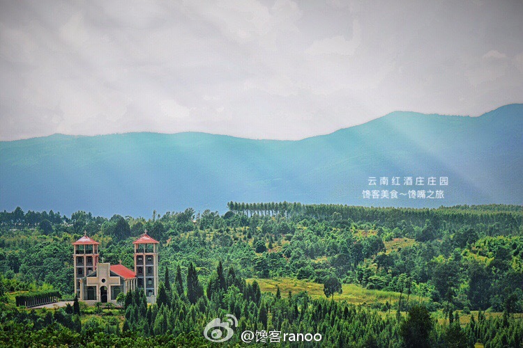 馋嘴之旅|与网红同行醉美云南弥勒红酒庄