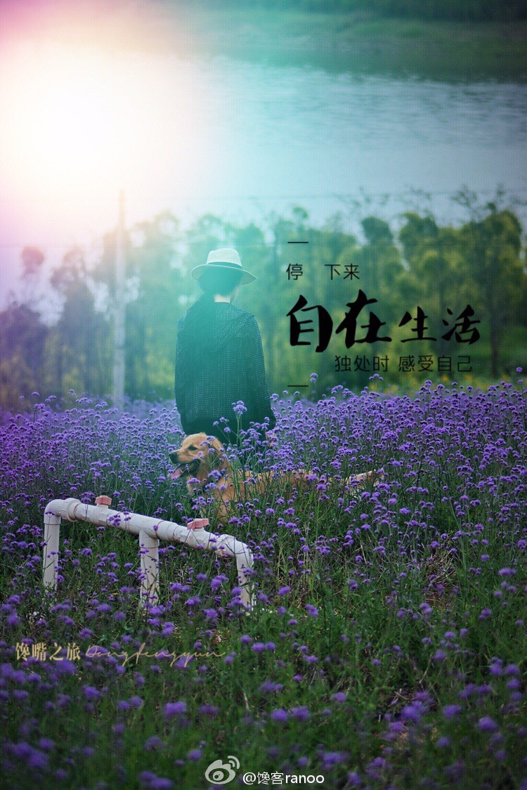 馋嘴之旅|与网红同行醉美云南弥勒红酒庄