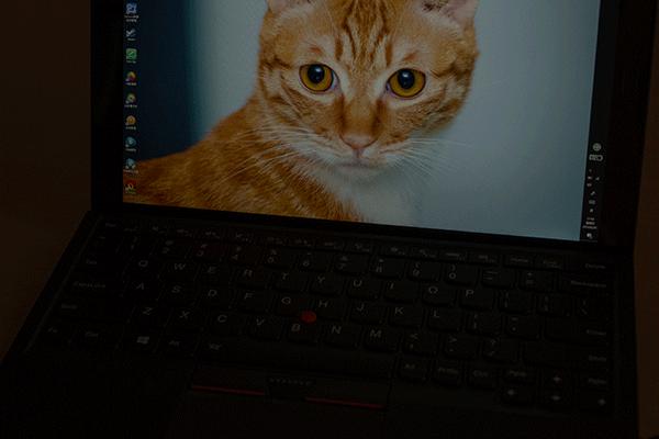 适合thinkpad的系统,最适合办公的thinkpad