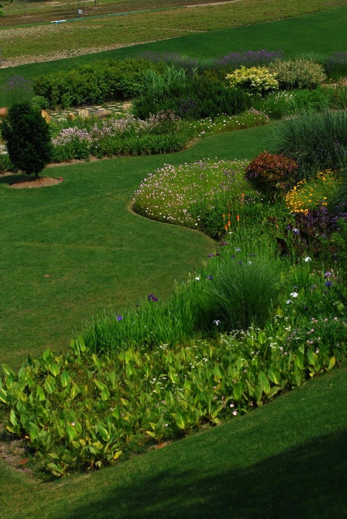 辰山植物园旱溪花境,上海辰山植物园珍稀植物