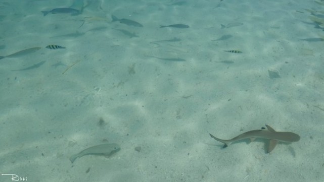 海岛兰卡威旅游,梦回兰卡威度假海岛