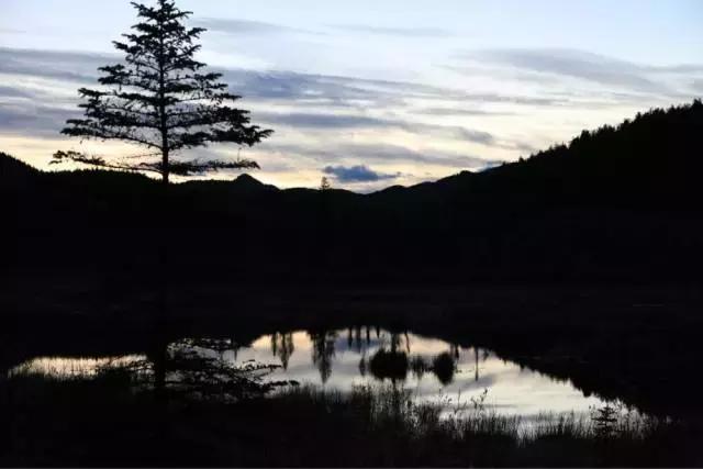 iphone一些小细节,iphone的小细节太棒了吧