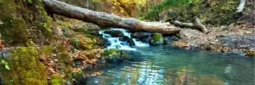 洛阳涧西区好玩的景点,洛阳郑州好玩的景点推荐