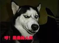 跑步碰到狗叫怎么办,跑步时遇到狗追怎么办