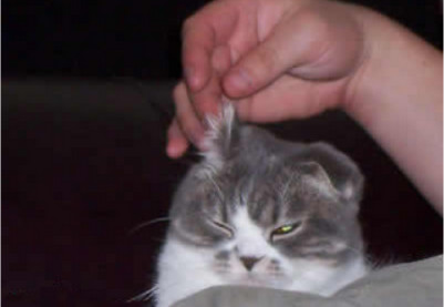 遇到又穷又事多的婆婆,遇上不讲理的婆婆最好的办法