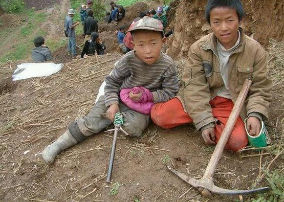 文玩催生的这几个高危职业，以命换钱令人心酸!
