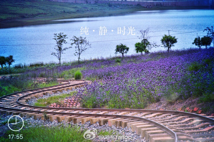 馋嘴之旅|与网红同行醉美云南弥勒红酒庄