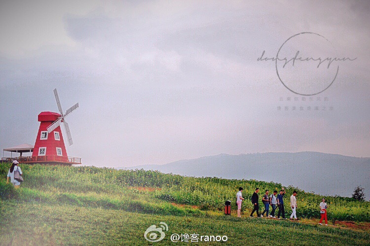 馋嘴之旅|与网红同行醉美云南弥勒红酒庄