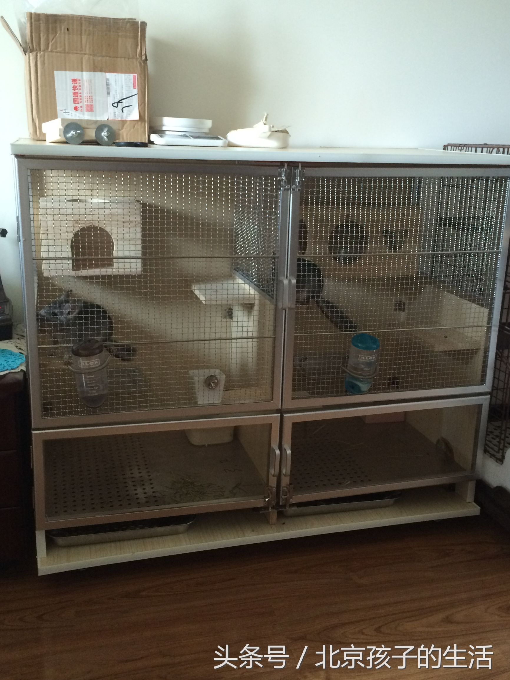 龙猫笼子diy设计图,制作龙猫笼