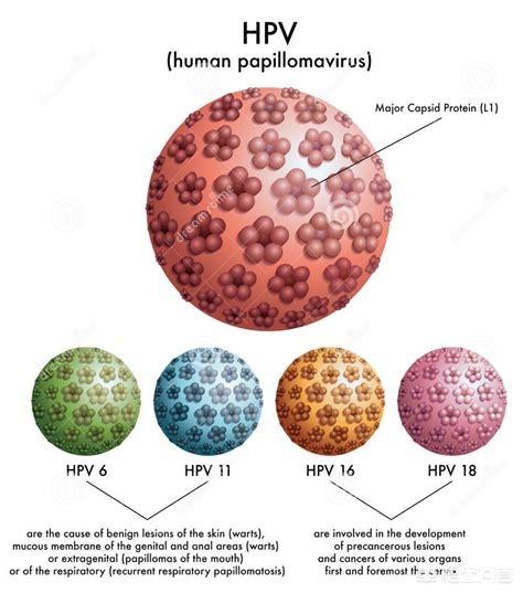 带HPV病毒需要长期吃药吗？
