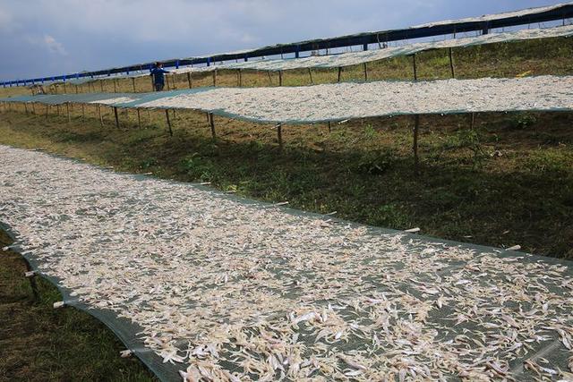 安徽合肥·中秋游万达，轻奢度时光